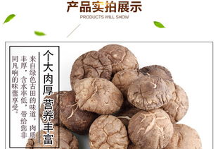 福建特产 富农园香菇208g 干货农产品批发 特级冬菇 食用菌 休闲食品